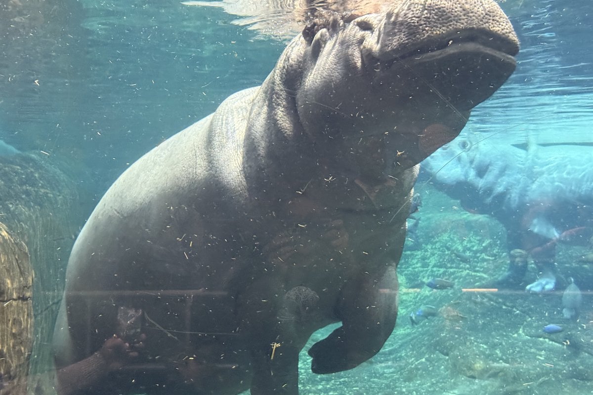 Adventure Aquarium - Gallery Image 4